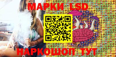 прущие грибы Нальчик