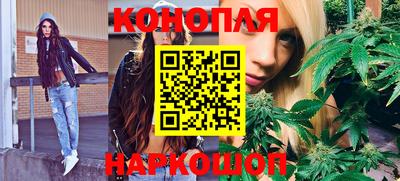 прущие грибы Нальчик