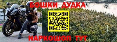 прущие грибы Нальчик