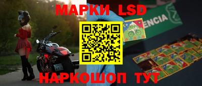 прущие грибы Нальчик