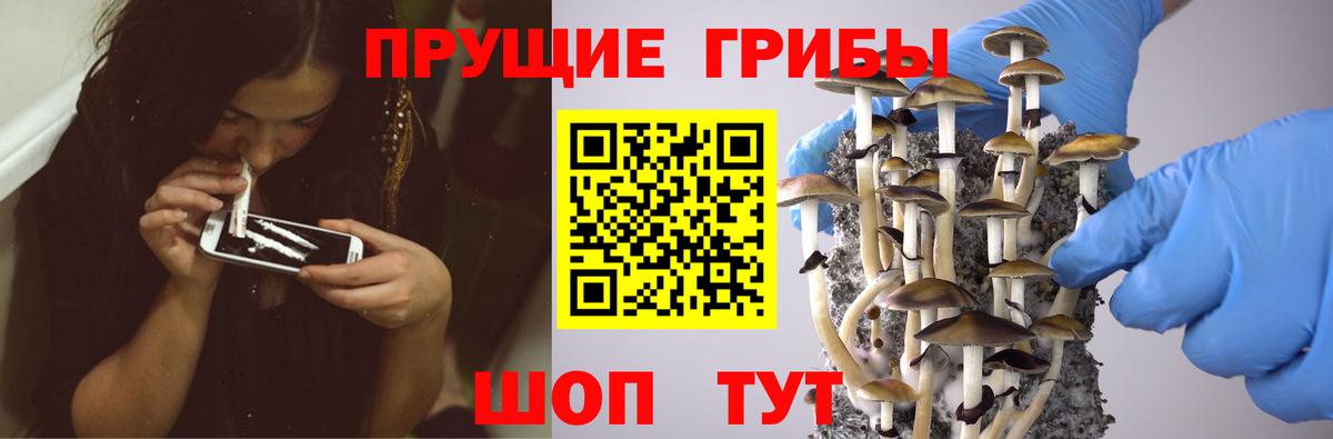 Галлюциногенные грибы GOLDEN TEACHER Тихорецк